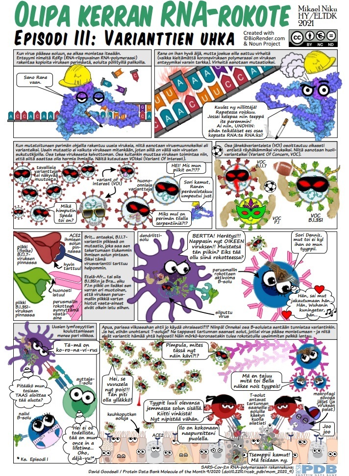 Coronavirus diagram from the University of Helsinki
