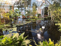 University of Helsinki Botanical Garden Greenhouse